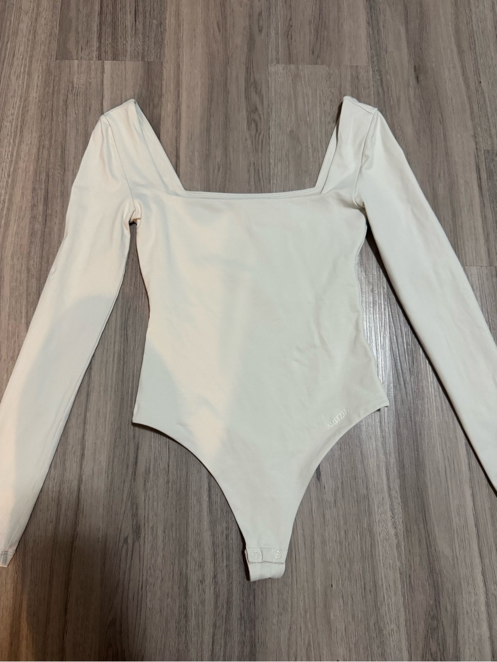 Aritzia long sleeve babaton bodysuit